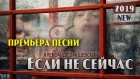 Александр Закшевский - «Если не сейчас» (Lyric Video)