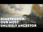 Dimetrodon: Our Most Unlikely Ancestor