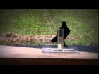 Интеллект ворон поразил ученых Causal understanding of water displacement by a crow