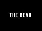 Bear Grillz: The Bear