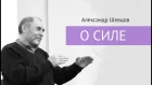 О силе.  Александр Шевцов