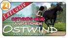 Ostwind Aris Ankunft - новая анимация - эксклюзивные кадры