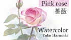 How to draw watercolors [Rose] Yoko Harusaki　水彩画　シンプルな薔薇の描き方