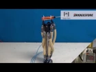 High-Power Hydraulic Artificial Muscle for Tough Robots