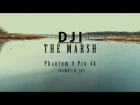 The Marsh 4K - DJI Phantom 4 Pro Footage(100mbs/h.265)