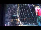 5150 FightWear Presents - Henry Cejudo vs Miguelito Marti