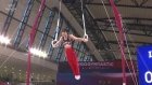 Kohei Uchimura on still rings during training at the 2018 World Gymnastics Championships
