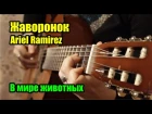 Жаворонок (В мире животных) -  Ariel Ramirez | На гитаре + разбор