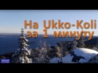 Финские истории - Восхождение на вершину Ukko-Koli за одну минуту