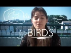 Weekly French Words with Lya - Birds