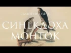 Синекдоха Монток ft. Озёра | Салют | Official Lyric Video