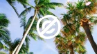 Scandinavianz - Summertime / No Copyright Music / Tropical House