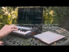 FL Studio | Launchkey mini & Launchpad mini | nucleon demo