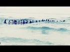80 Strangers Form Human Chain to Rescue Family From Ocean Riptide