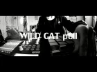 mr.Thrasher - Wild Cat pt.2 (Schecter omen 7,Launchpad mini, Akai MPD26 playthrough)