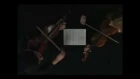 Mirror violin duet. Шутки гениев