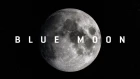 Introducing Blue Moon