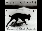 Muslimgauze – Return Of Black September