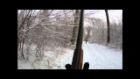 Råvildt med hagl/roe deer with shotgun 29/12-14