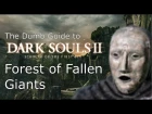 Dark Souls 2 SotFS - The Dumb Guide to Forest of Fallen Giants