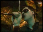 Front 242 – No Shuffle (Live 1985)