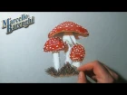 Fly Agaric Speed Drawing