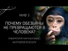 Почему обезьяны не превращаются в человека? Мифы об эволюции человека