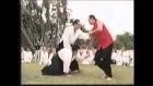 Documentary  Aikido   Lesson with Steven Seagal
