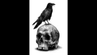 SOTA Black Raven(Crows)