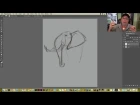 Aaron Blaise - Live Stream "Elephant Drawing" (02/23/17)