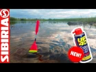 Ловля КАРАСЯ на UP-40 (WD-40 NEW) ПОКЛЁВКИ на поплавочную удочку на пруду Бартат Рыбалк ...