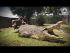 #BreakTheNet Task 2 – Greg Minnaar & the CROC!