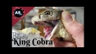 The Deadly King Cobra! Corey Wild : AnimalBytesTV
