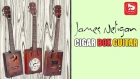 Необычные Сигарбокс гитары JAMES NELIGAN CASK (  Cigar Box Guitar )