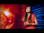 Lessons from a solar storm chaser | Miho Janvier