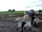 Antiguos Videos 1: "Chicas Alemanas jugando con Ponys"