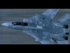 Rogue Pilot, F/A-18E/F Super Hornet vs F-14 Tomcat