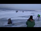 Ледоход на Финском заливе