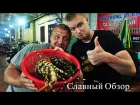 Лягушки, черепахи и ОГРОМНЫЙ лангуст. Славный Обзор. Bo Keh Mister Crabs.