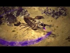 Path of Exile: Shakari, Queen of the Sands