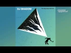 "Nobody Speak" feat. Run The Jewels - DJ Shadow (The Mountain Will Fall) [HQ Audio]