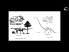 Александр Аверьянов «Филогения динозавров»