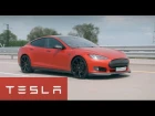 DT Test Drive — Tesla Model S P90D & P85D