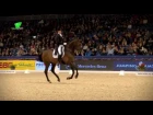 Edward Gal Glock's Romanov Jumping Amsterdam Reem Acra GP