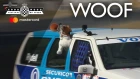 Puppy love in a Volvo 850 Estate at FOS