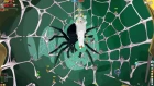 Вормикс: Прохождение босса Королева пауков (без связки и марша зомби)