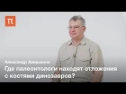 Динозавры России — Александр Аверьянов