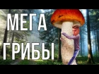 RYMIX Feat. РОСТЯН - MEGA PIZDA (ПАРОДИЯ МАРЬЯНА РО - МЕГА ЗВЕЗДА)