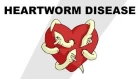 Heartworm Disease - Plain and Simple - рус. субтитры