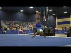 Donnell Whittenburg - Floor Exercise - 2017 Winter Cup Prelims (5.9)